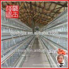 Cages à couche d&#39;œufs de poulet (manufacture)